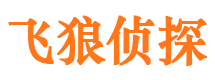 阜阳市私家侦探